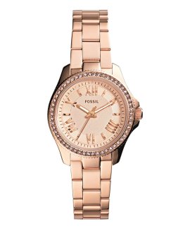 Fossil Cecile Mini Relógio Mulher AM4578