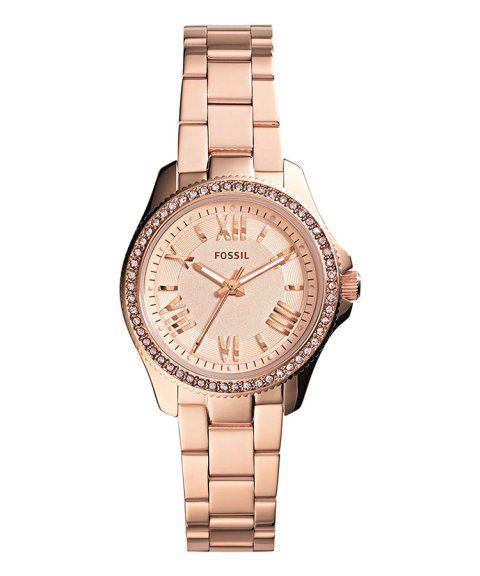 Fossil Cecile Mini Relógio Mulher AM4578 Fossil Cecile Mini Relógio Mulher AM4578