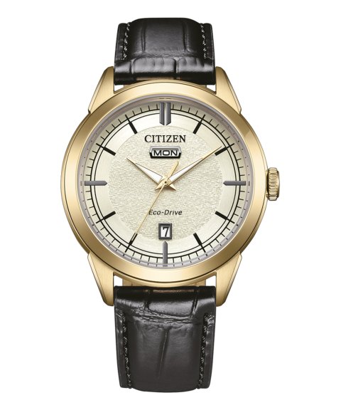 Citizen Elegant Relógio Homem AW0153-04A