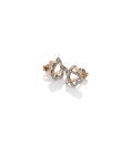 Hot Diamonds Adorable Joia Brincos Mulher DE551 Hot Diamonds Adorable Joia Brincos Mulher DE551