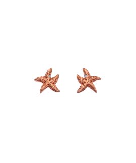Hot Diamonds Eternal Love Joia Brincos Mulher DE603