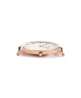 Daniel Wellington Classic Winchester 36 Relógio Mulher DW00100033