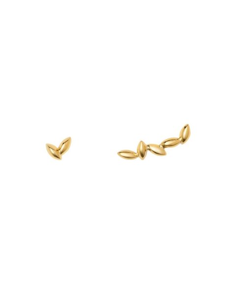 Omnia Earth Grains Joia Brincos Mulher E1641X-D Omnia Earth Grains Joia Brincos Mulher E1641X-D
