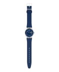 Swatch Monthly Drops Rinse Repeat Navy Relógio GE725