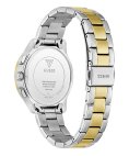 Guess Birdie Relógio Mulher GW1031L6