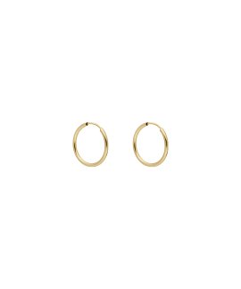 DonaZinda Maria Joia Brincos Ouro 19.2K OPA6434