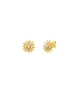 Pereirinha Solar Joia Brincos Mulher PER183BR1249D