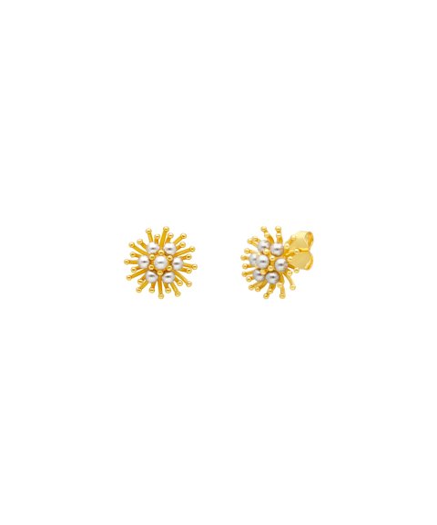 Pereirinha Solar Joia Brincos Mulher PER183BR1249D