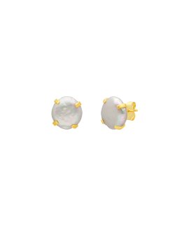 Pereirinha Alba Joia Brincos Mulher PER183BR1254D