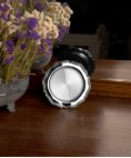 Pereirinha 15cm Decoração Salva Prata 925 PERSALV150MM