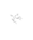 Radiant Cruces Joia Brincos Mulher RY000132 Radiant Cruces Joia Brincos Mulher RY000132
