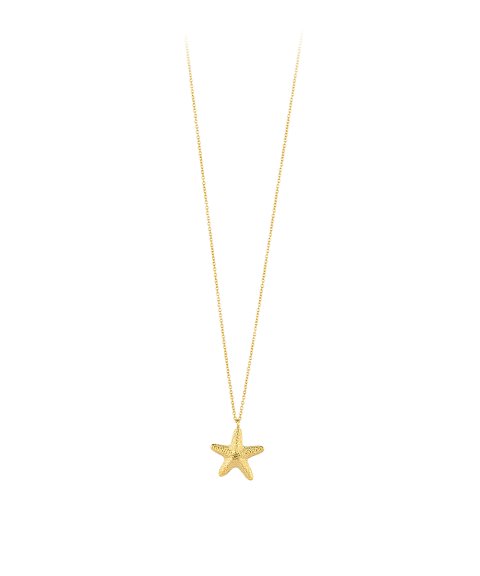 Radiant Starfish Joia Colar Mulher RY000140