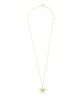 Radiant Starfish Joia Colar Mulher RY000140