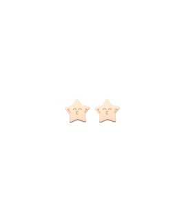 Mr. Wonderful Sparkling Joia Brincos WJ10204