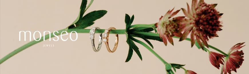Monseo